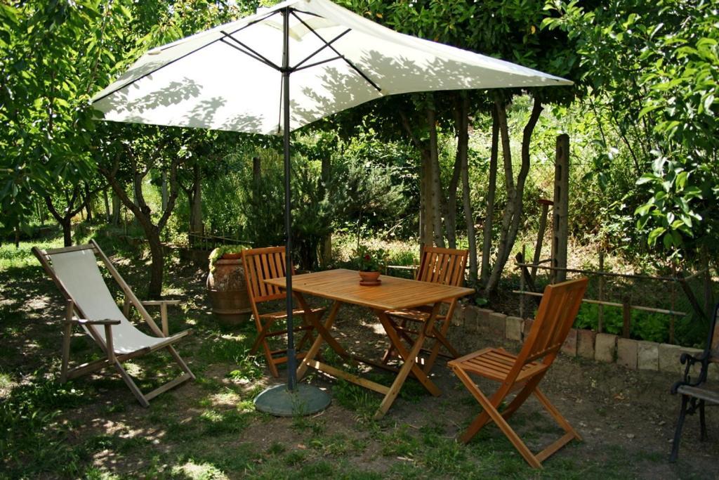 Casa Marsili Apartment Montecatini Val di Cecina Bagian luar foto